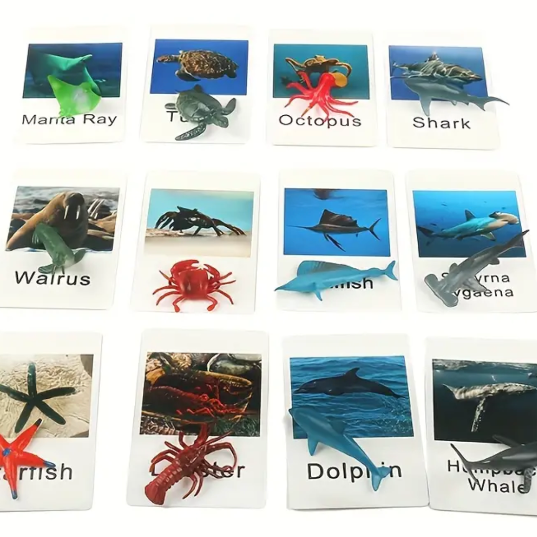 Animal Matching Card