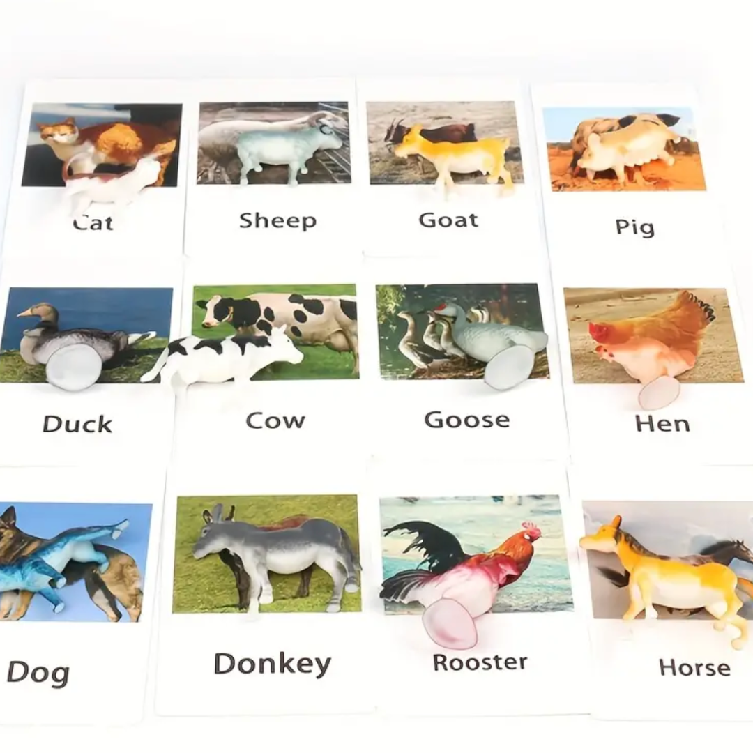Animal Bingo