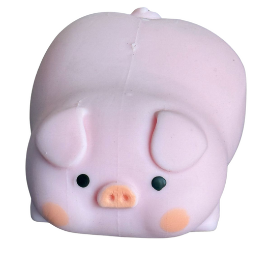 Sensory Squishy Toys