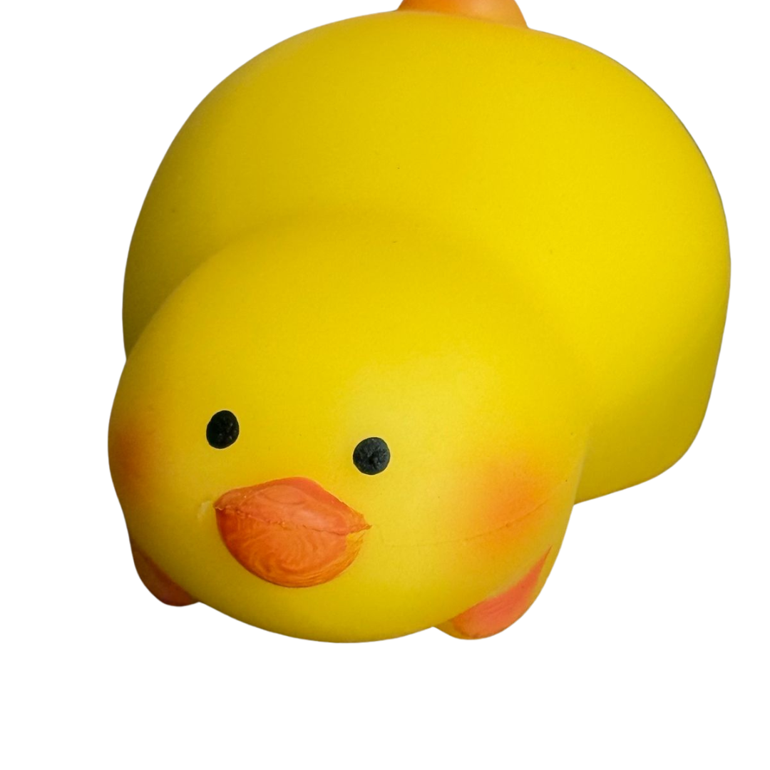 Sensory Squishy Toys