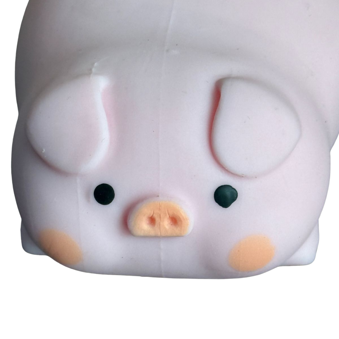 Sensory Squishy Toys