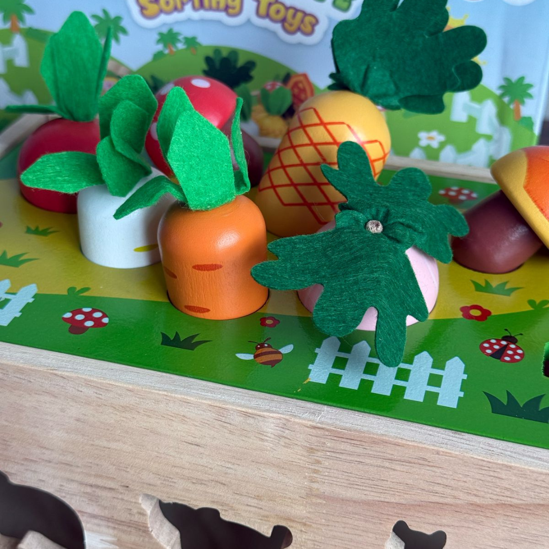 Farm Harvest Sensory Game