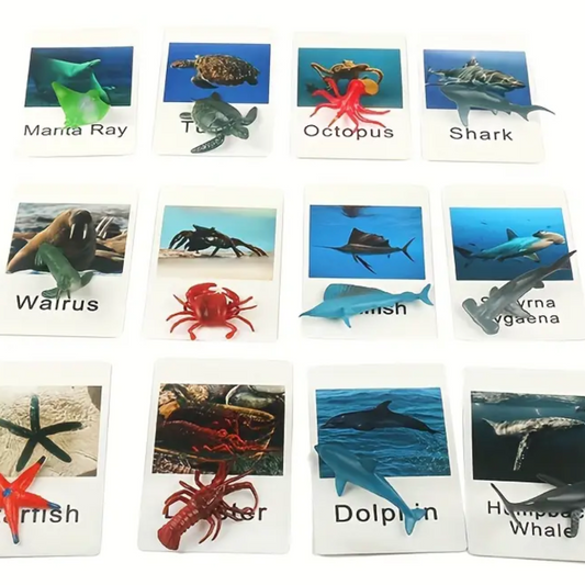 Animal Matching Card